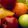Сушеные фрукты (сухофрукты) оптом