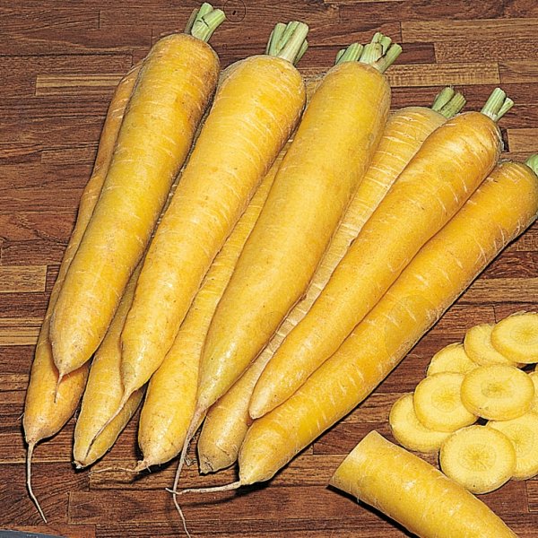 морковь желтая