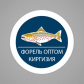 Азамат Таршхоев