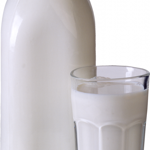 Молоко стерилизованное 2.5 % жирность ТМ Молодея натуральное, 180 суток