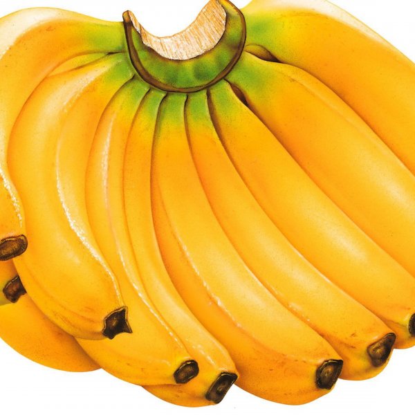 Бананы (Эквадор)