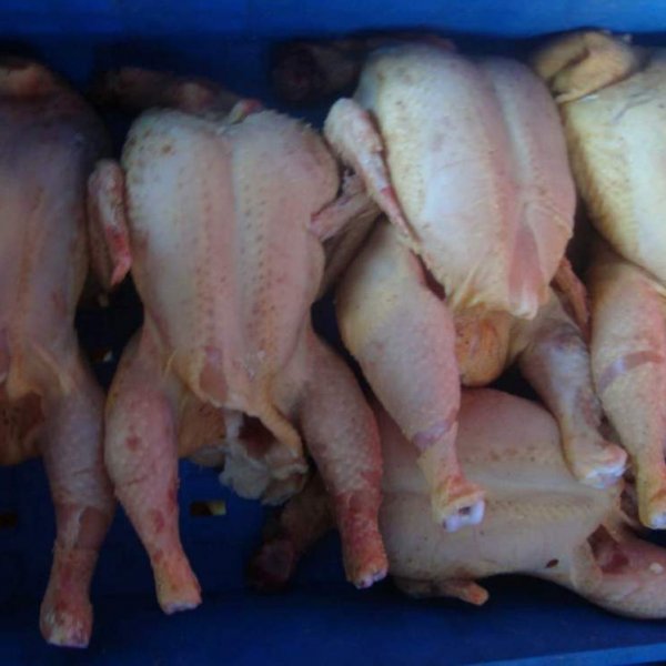 Лапы куриные белые, очищенные, вес 44гр.+, размер 15см