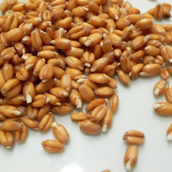 Булгур / Пшеница крупномолотая
