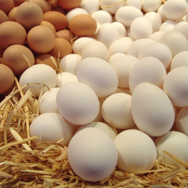 Яйца куриные фас С2 10 шт Агрокомплекс
