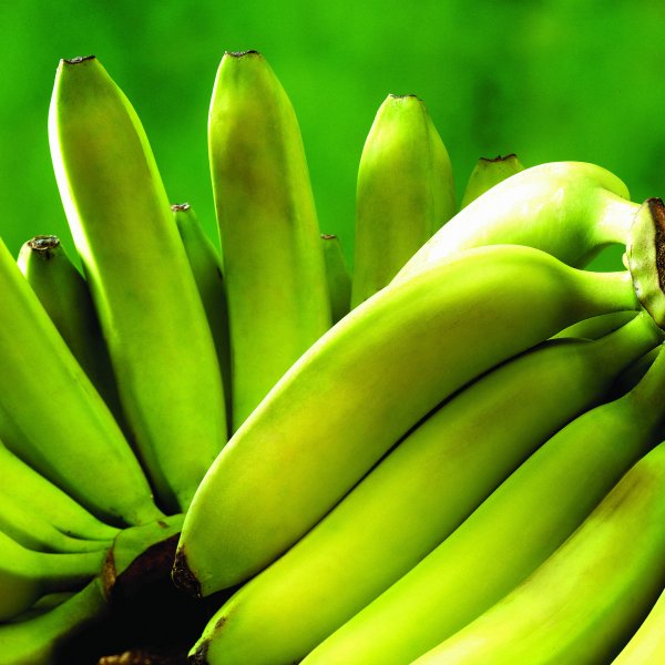 Бананы оптом напрямую от поставщика