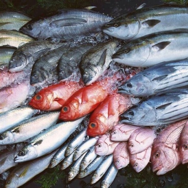 Филе рыбы тилапии 3-5 35% глазурь