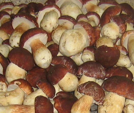 Анализ производства и потребления консервированных грибов