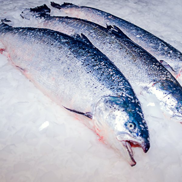 Филе лосося без кожи замороженный 3-4lb