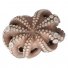 Осьминог мороженый , Цветок IQF (Octopus vulgaris) 1,5-2 кг. Глазурь 8% в России