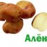 Картофель Алена