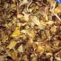 лисичка грибы сушёные в России