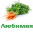 Морковь Любимая в России