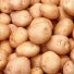 картофель в России