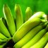 Бананы оптом напрямую от поставщика