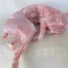 Кролик мясо на кости без шкуры в Самаре