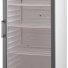 Холодильный шкаф Vestfrost Solutions VKG 571W в России