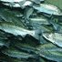 Икра лососевых дальневосточных рыб (Нерка). Вылов 2016 года в России