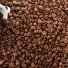 Кофе в зернах Esperanto Коста-Рика Тарразу 100% arabica в России