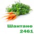 Морковь Шантане 2461 в России