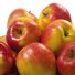 Яблоки оптом в Самаре
