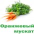 Морковь Оранжевый Мускат