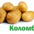 Картофель Коломбо в России
