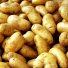 картофель продовольственный в Вологде