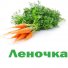 Морковь Леночка в России